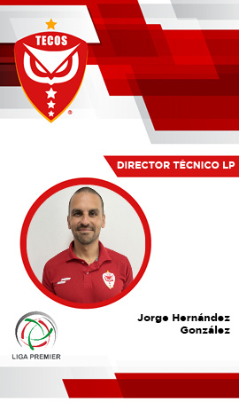 Director Técnico